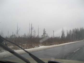 S_Pb_2009 (33)